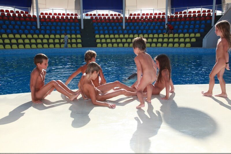 Swimming dolphins photo gallery - Self-confidence helps naturists achieve their goals