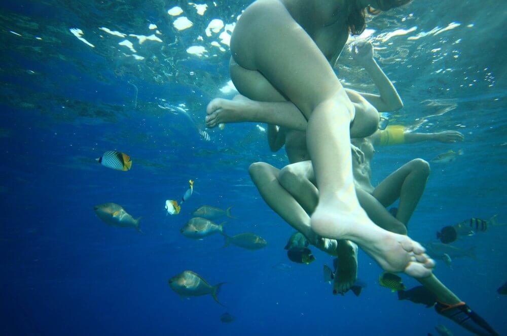 Egyptian Snorkelers Part - There are many political figures among the movements supporters
