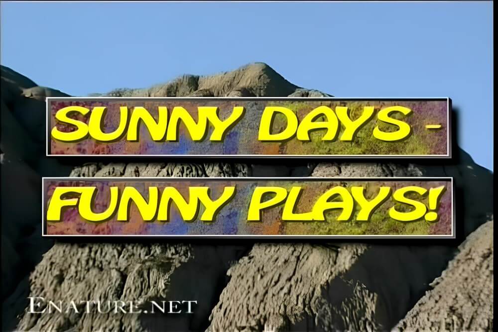 Enature - Sunny Days – Funny Plays - A true nudist vacation