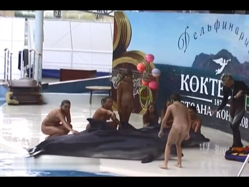 Relaxing at the dolphinarium - Nudism and naturism promote inner happiness and harmony